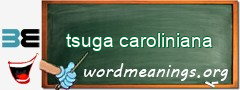 WordMeaning blackboard for tsuga caroliniana